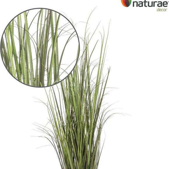 NEW Black Grass Plant - Lifelike Artificial House Plant - 47" High - Picture 5 of 7